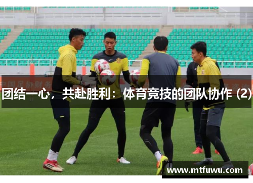 团结一心，共赴胜利：体育竞技的团队协作 (2)