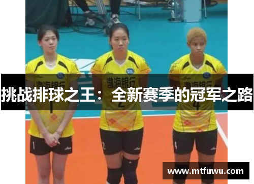 挑战排球之王：全新赛季的冠军之路